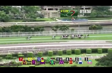 Pakistani horse STAR ny race jeet k duniya mai dhoom macha di