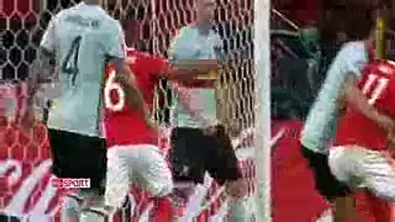 Wales vs Belgium 3 1 Full Highlights HD ~ EURO 1 7 2016