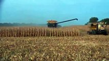 Geringhoff 24 row 20 inch corn head harvesting corn