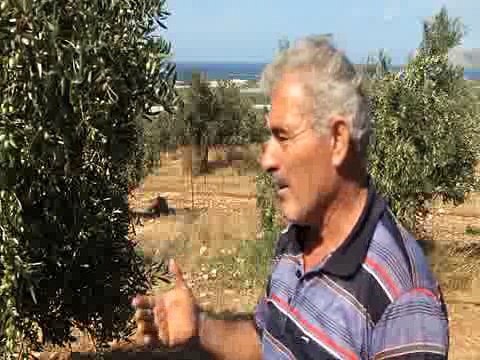 CultureSciences - Discussion sur les paradoxes des systèmes agricoles et alimentaires en région méditerranéenne