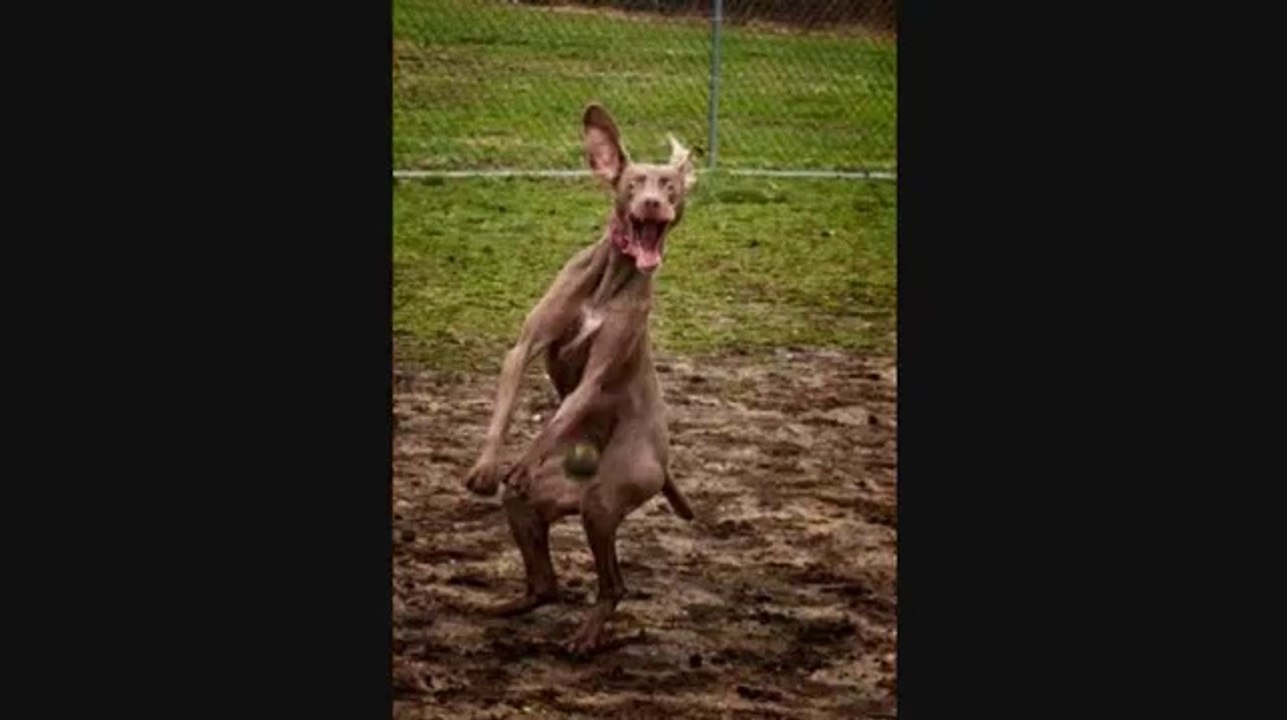 Pictures taken at the right time