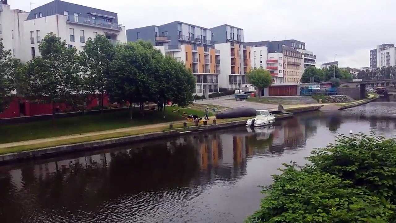 Un cachalot échoué sur un quai à Rennes