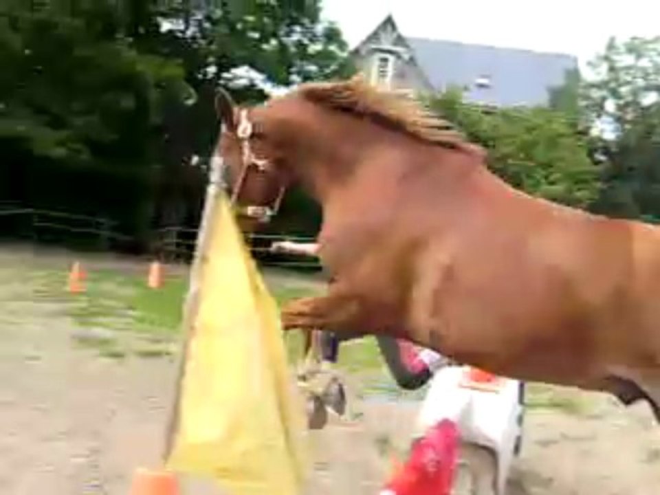 Ulysse et moi au cso