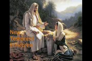 61. Hebrew Audio Bible New Testament- John Chapter 15-16