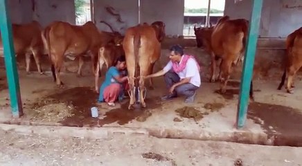 TheWayWeWere.in - A2 Milk Delhi