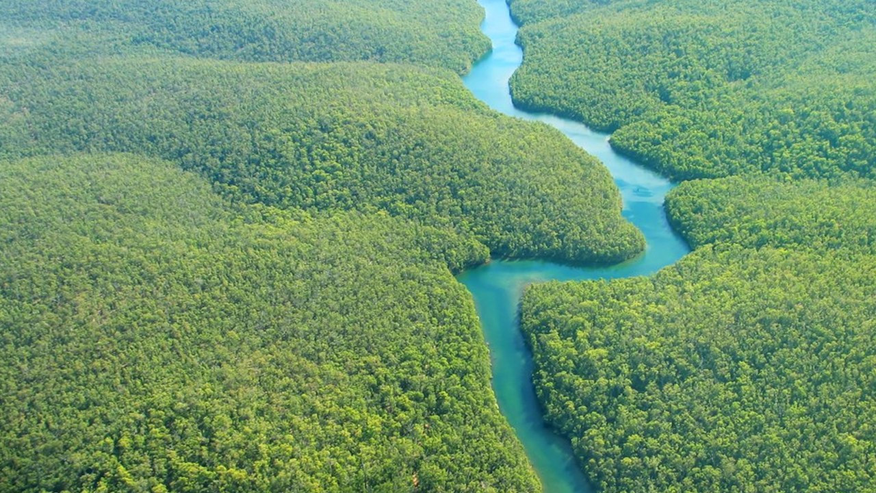 Fair Planet Fair Trade - Forests, Certified Hope (Extract)