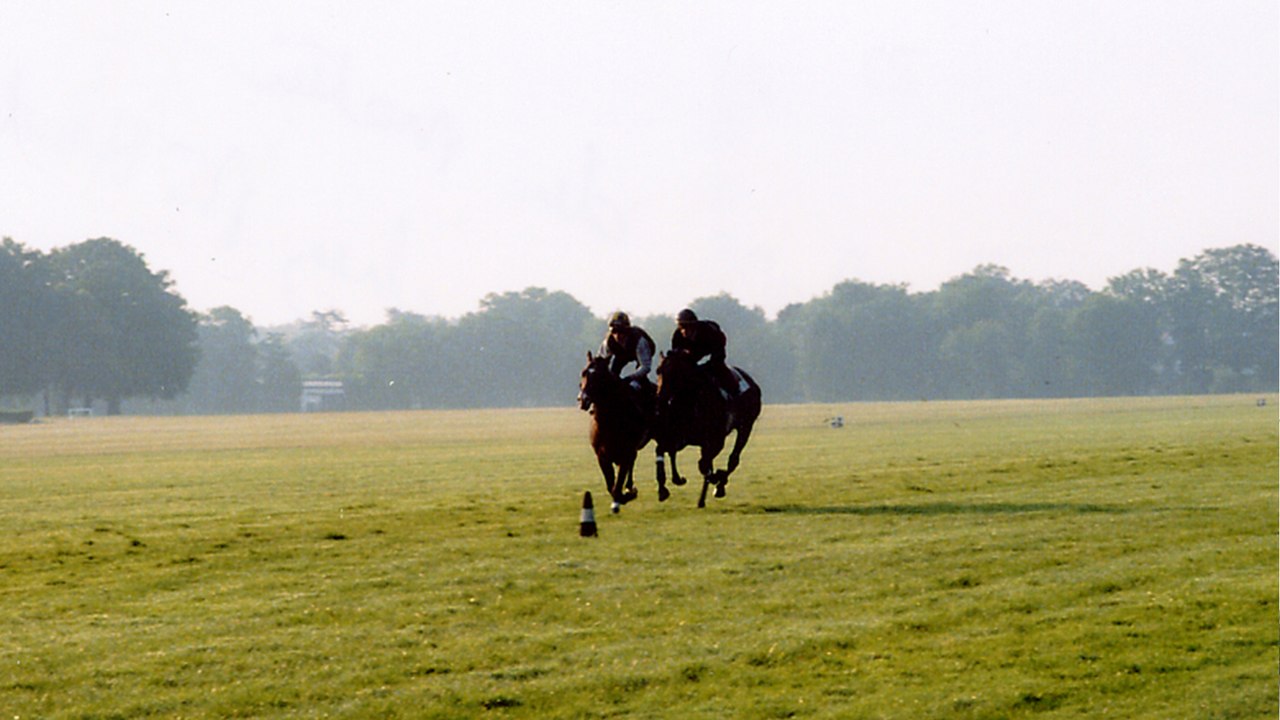 Quand je serai jockey, je serai grand (Extrait)