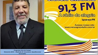 17 12 2010 Momento MCA 094/Som do campo/Canoa Grande - Cuidados na aquisição de mudas