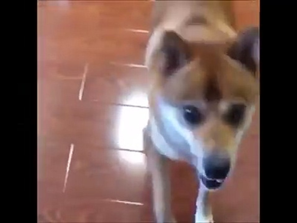 Le penalty raté de Simone Zaza parodié