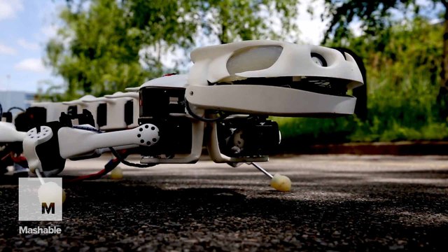 This salamander robot can walk, crawl and swim