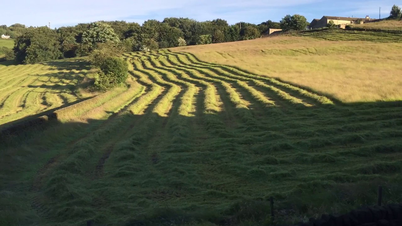 Timelapse d'un fermier coupant un champ en tracteur ! Hypnotisant