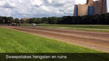 Sweepstakes hengsten en ruins tijdens de koers - RTV Noord