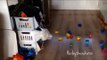Naughty Cockatoo Throws Her Toys Onto Floor
