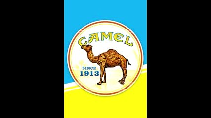 Villám Géza Camel