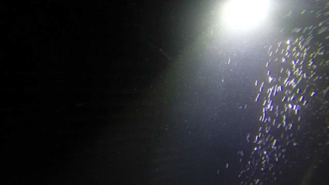 Small mackerel above the drop keel (low quality)
