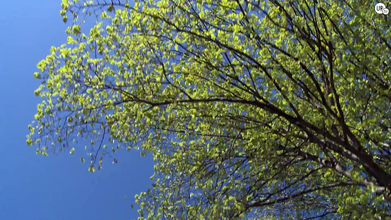 IC2MP - Instituto de Química de Poitiers: materiais e recursos naturais