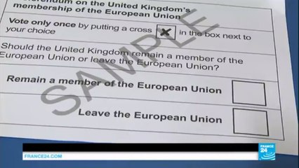 Lawyers launch Brexit legal challenge