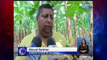 Encontraron muerta a “La China” dentro de una bananera
