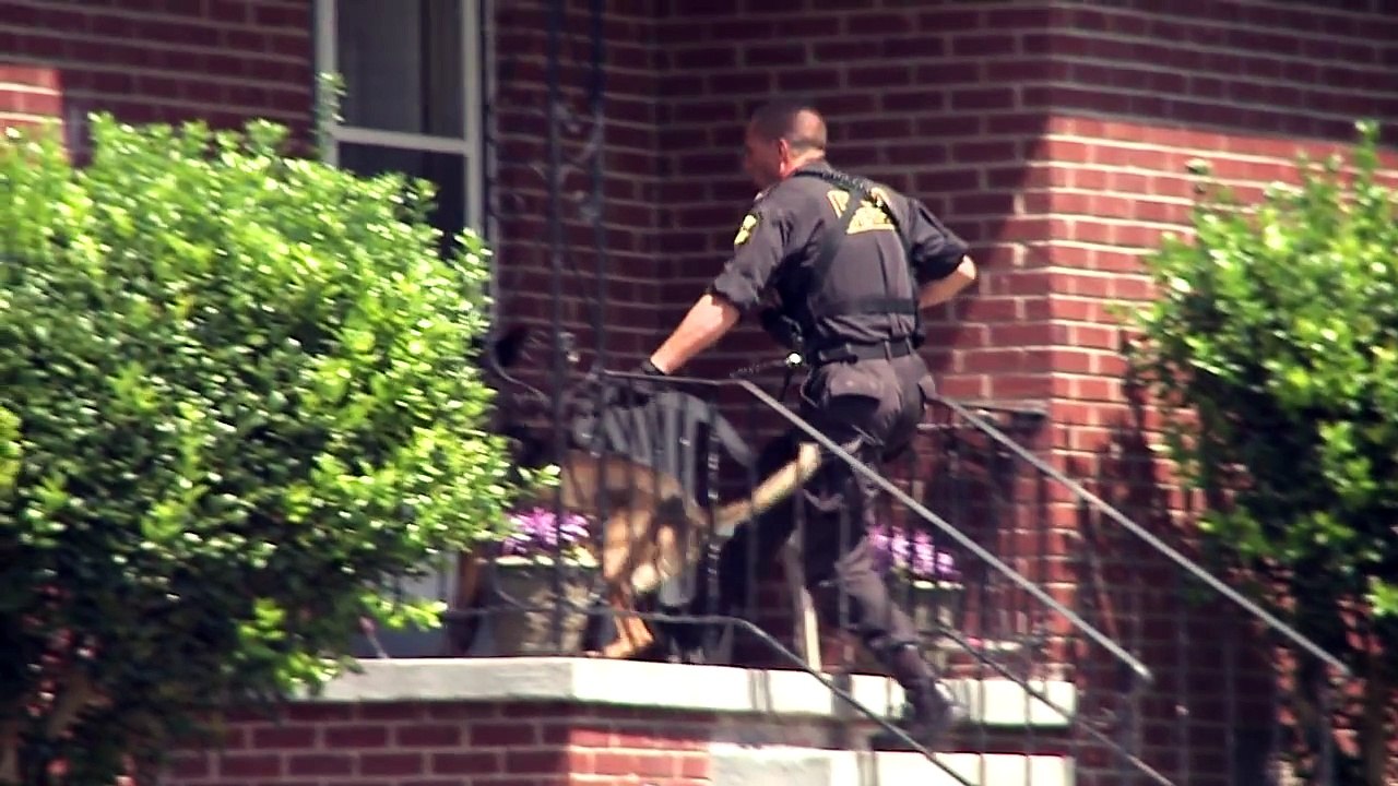 Un chien policier est tué en fonction, ce que les policiers font pour lui rendre hommage vous fera pleurer!