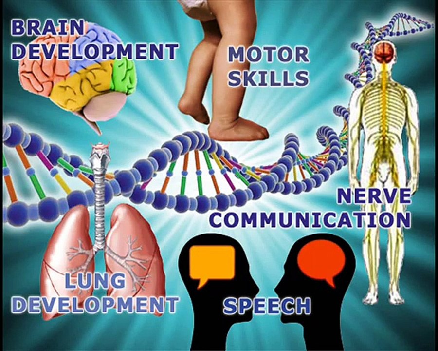 the starchild skull is alien_ newest DNA results 3-6-12