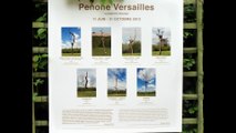 Guiseppe Penone à Versailles HD