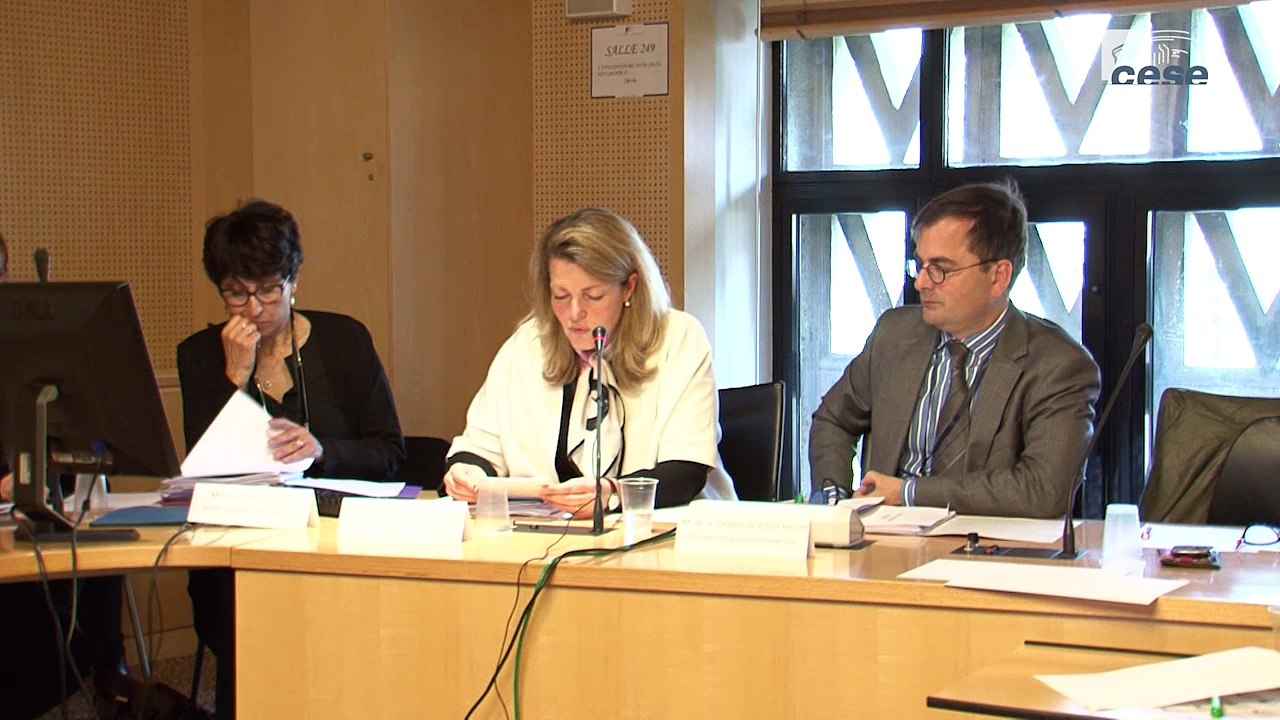 Audition de Marie-Anne BARBAT-LAYANI, (FBF) - Evitement fiscal - cese