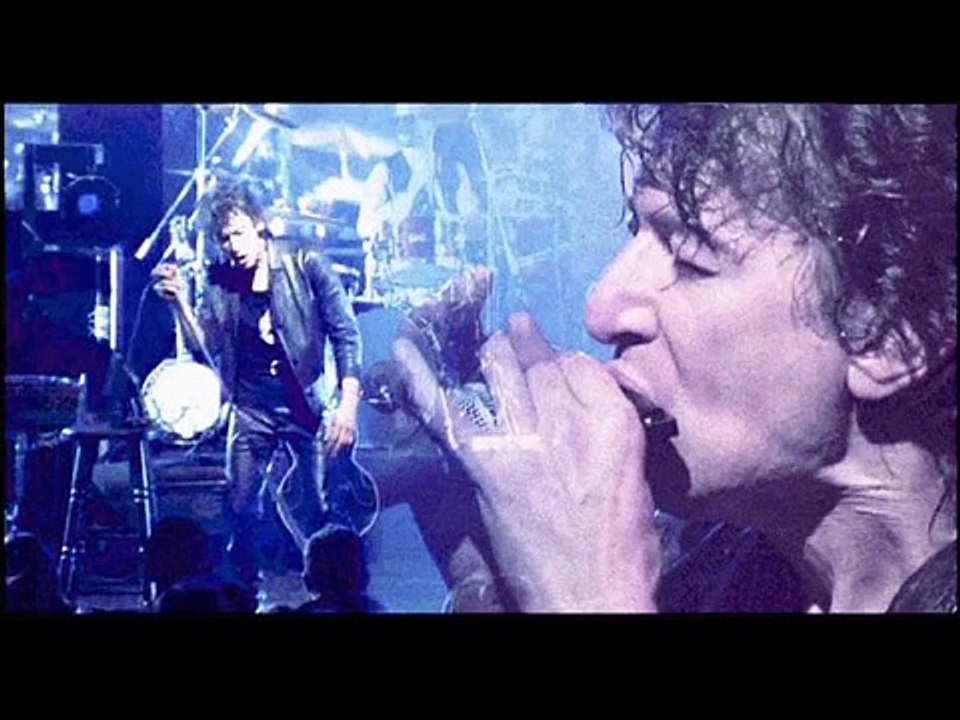 Bashung - L'apiculteur (live)