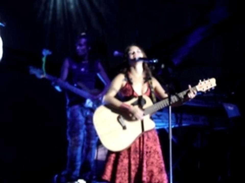 Domy montélimar the scientist