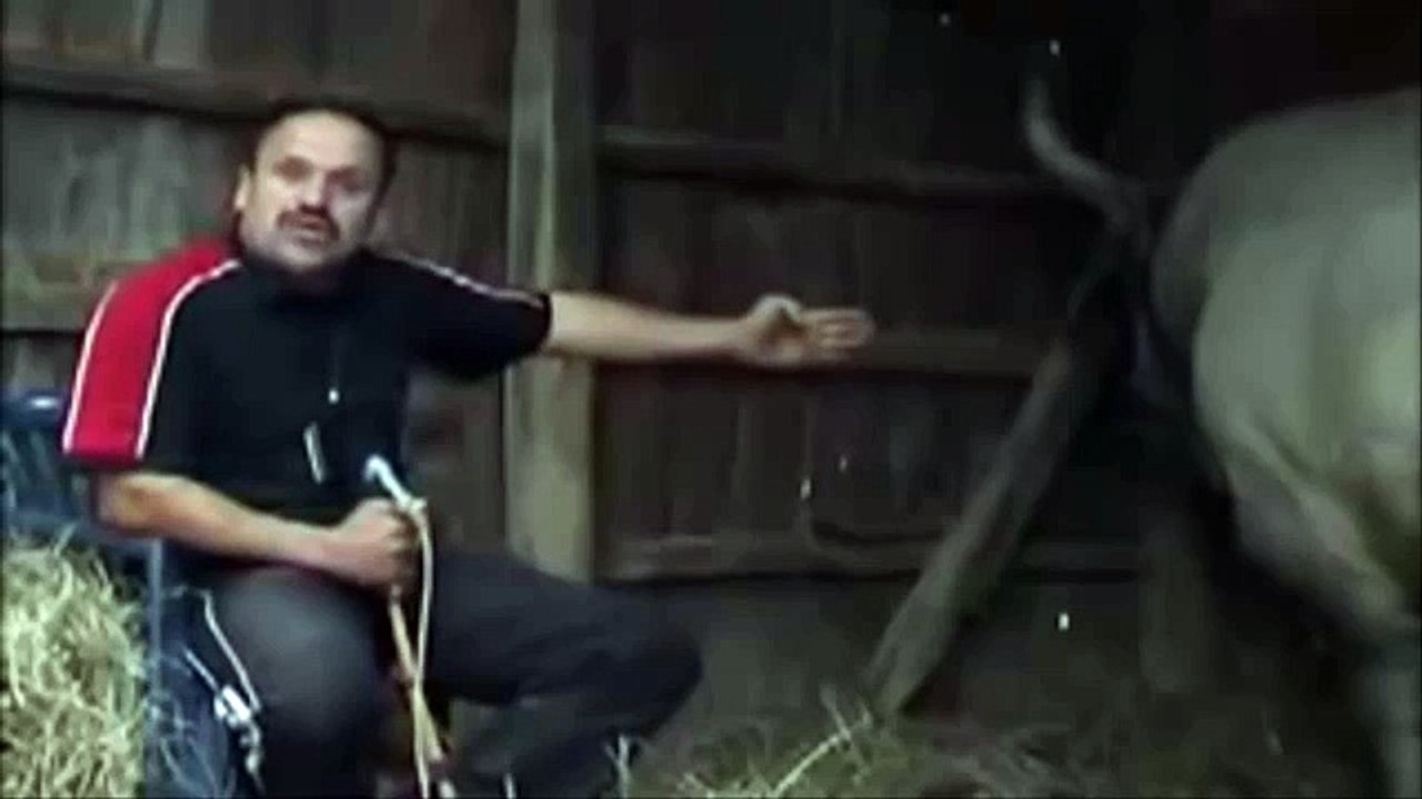 ZMAJ OD SIPOVA POLUDEO