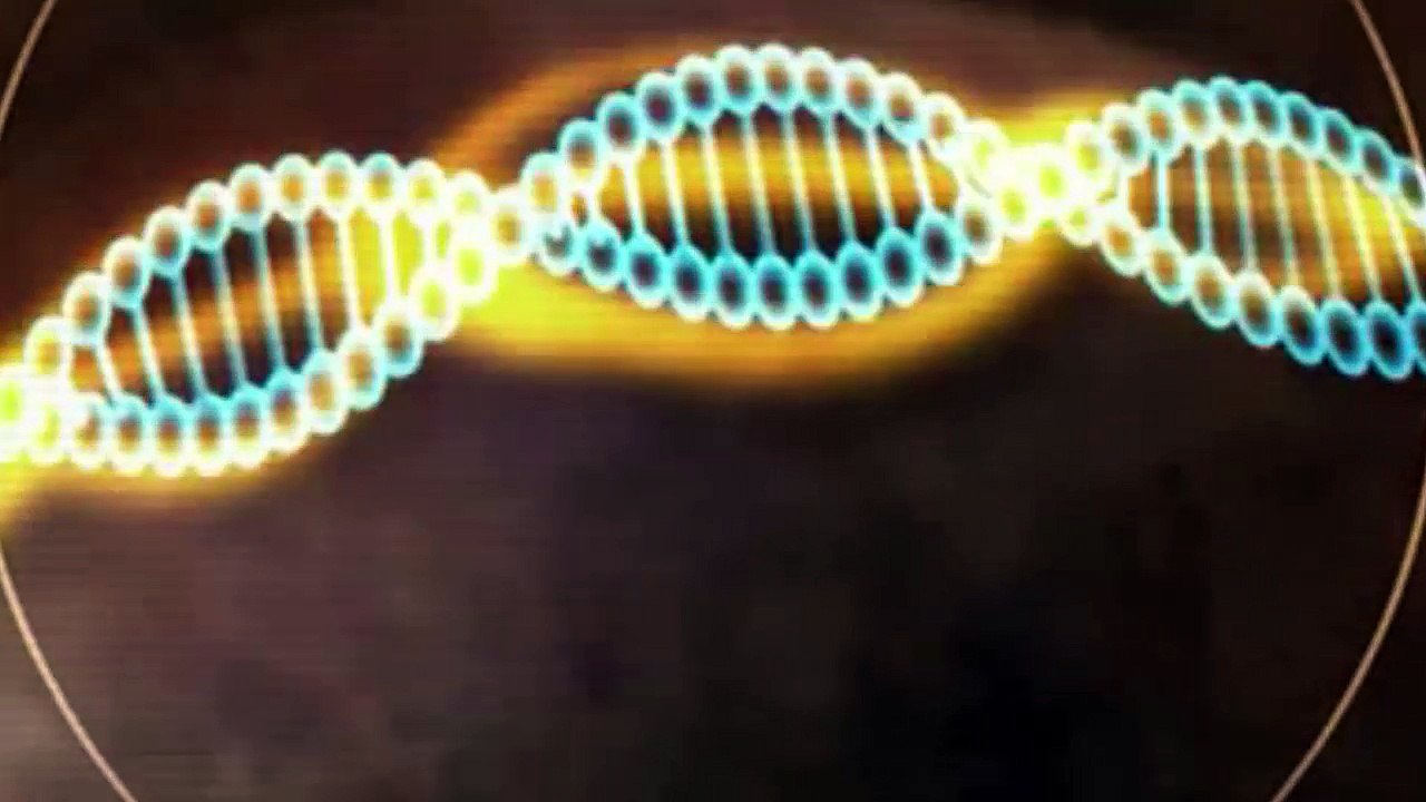 Auf den spuren der aliens - verschlüsselte hinweise | s01e10/10