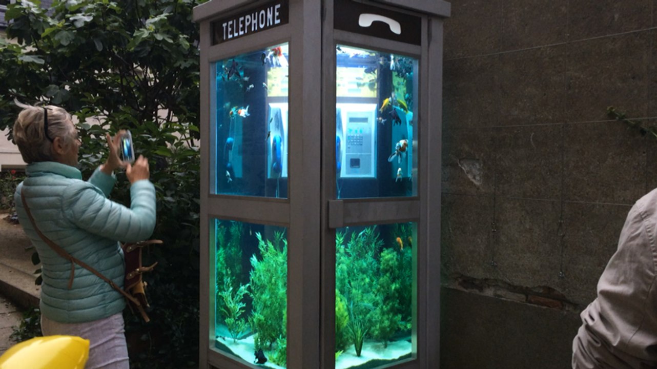 Cabine téléphonique aquarium du Voyage à Nantes