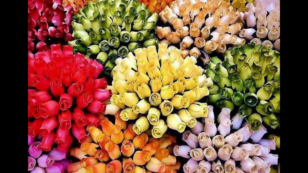 Rose Розы