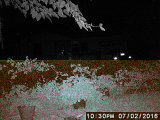 Two Rod shaped objects moving opposite directions captured with my Trail Camera. Copperas Cove ,TX, US,02.07.2016.