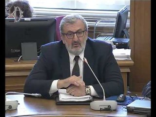 Roma - Audizioni sulla cessione del Gruppo ILVA (30.06.16)