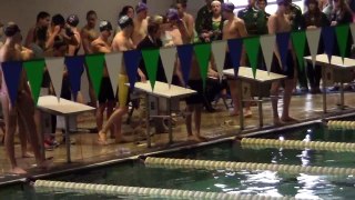 2015-01 District 17-6A Champs German 200 Medley Relay