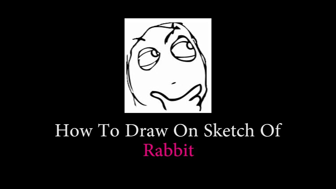 DIY How To Draw On The Sketch Of A Rabbit