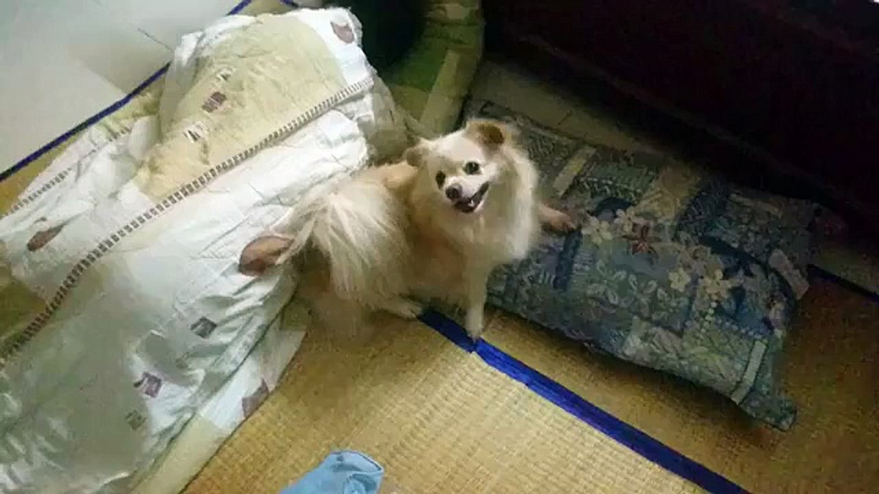 Time to play with head-rest
