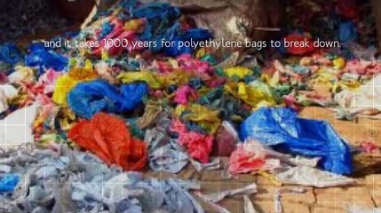 Should we continue using plastic bags?