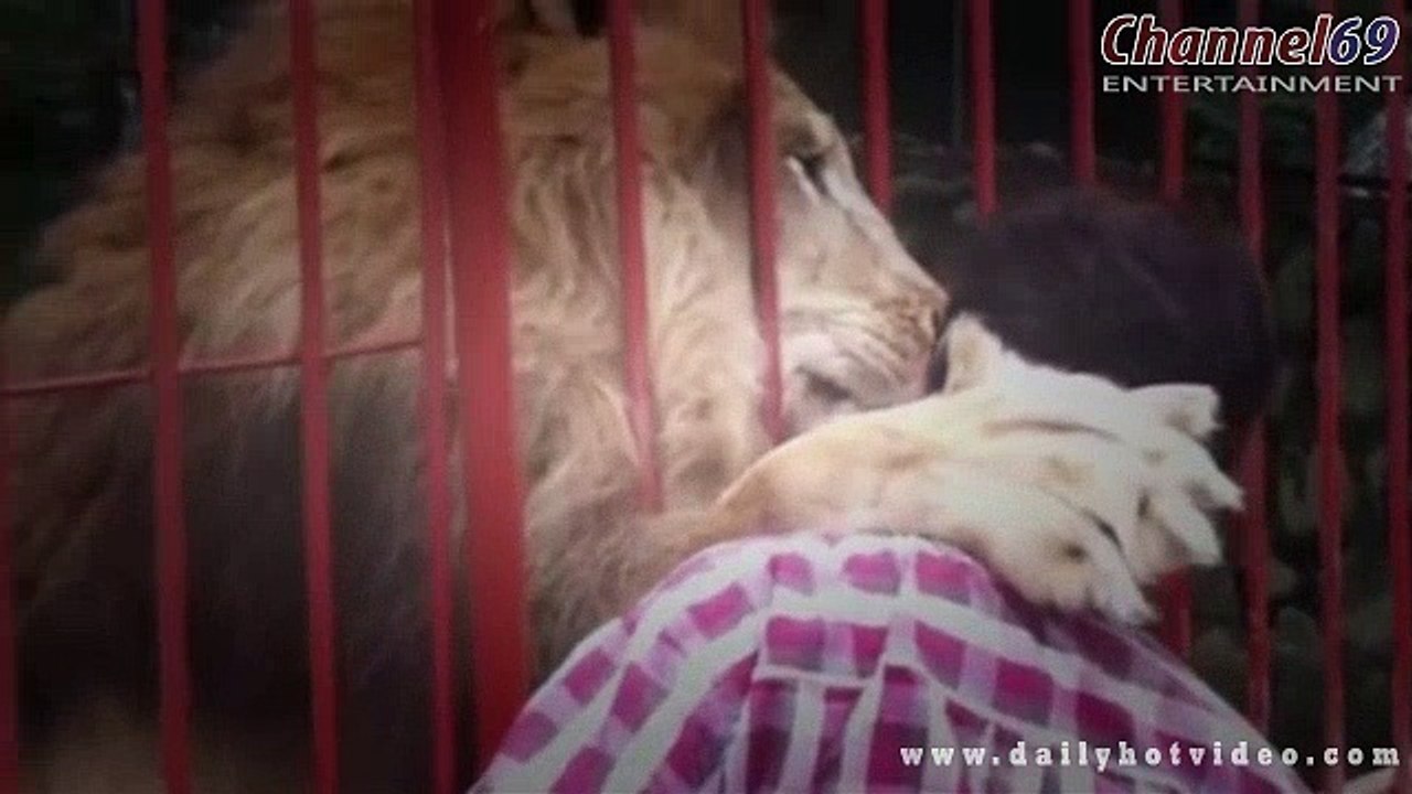 Funny Videos Of Funny Animals NEW 2016