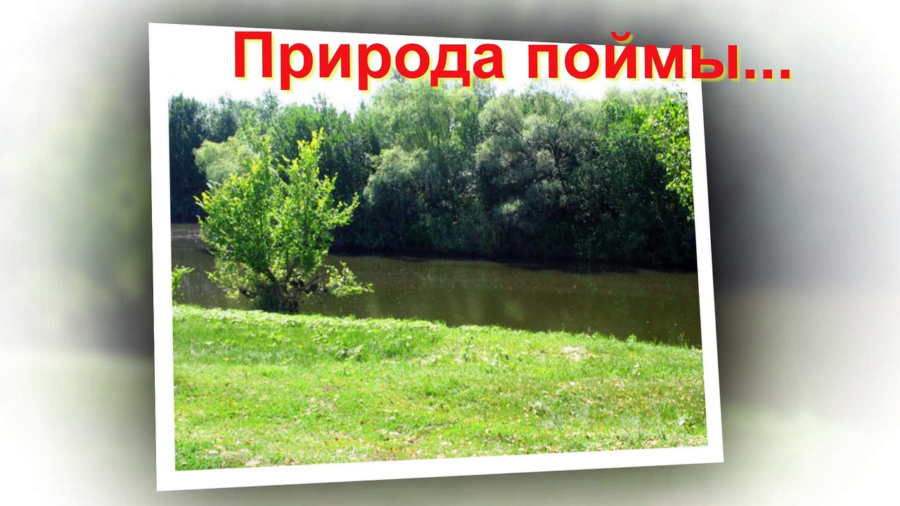 Рыба 2012