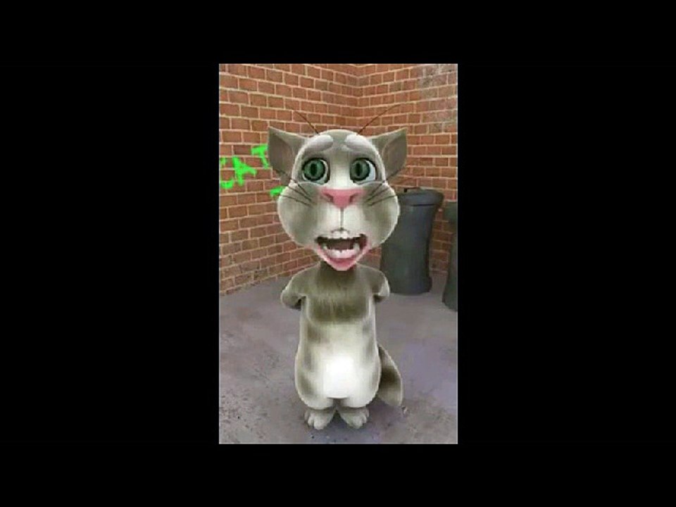 Cat punjabi funny wedding Video