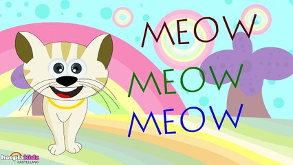 Sounds Of The Animals - El Sonido de los Animales