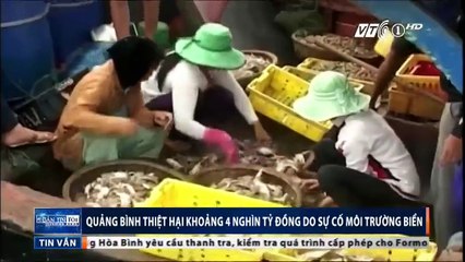 Quảng Bình thiệt hại khoảng 4 tỷ đồng do sự cố môi trường biển