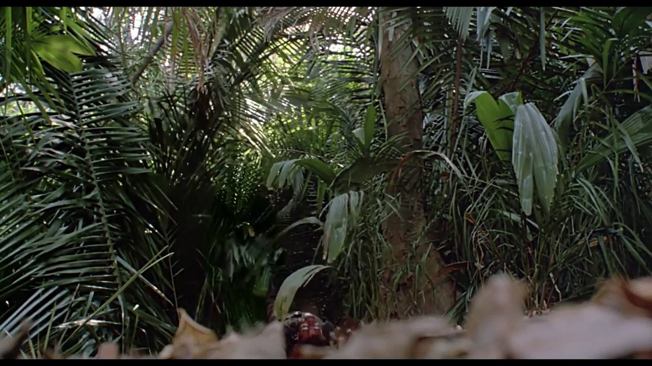 Predator - Bande-Annonce restauration - VOST
