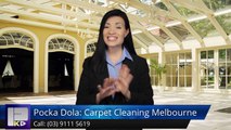 Pocka Dola: Carpet Cleaning Melbourne Knox City Terrific5 Star Review by Nick C.
