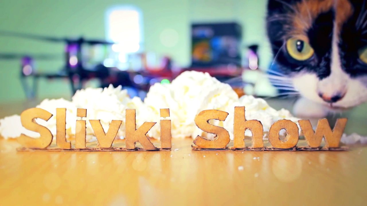 7 LIFEHACKS FOR CATS