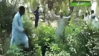 Women’s Dead Bodies (Ziadati) in Graveyard Near Faisalabad