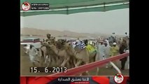 شارة الصندوق - السبت 2013/06/15 - ميدان الساد - الشوط 3 - فطامين 1500 متر