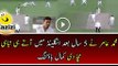 Mohammad Amir 3 Wickets Vs Somerset - Pakistan Vs Somerset highlights