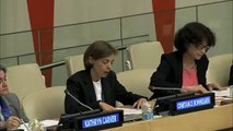 Constance Bommelaer, The Internet Society - UN WSIS 10 consultation